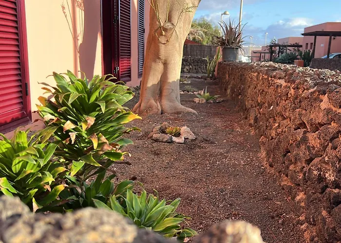 Mahor * לה אוליבה