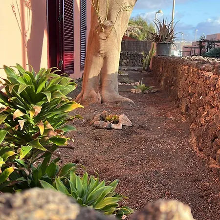 Mahor * 拉·奥利瓦